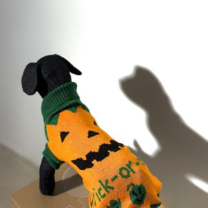 Halloween megztinis 10 dydis