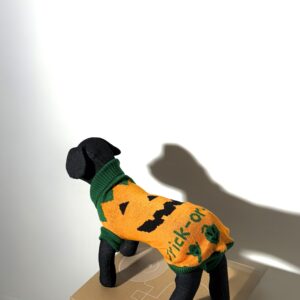 Halloween megztinis 10 dydis