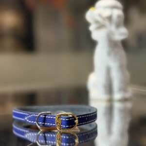 Natūralios odos antkaklis su elegantiška sagtimi 20-27cm