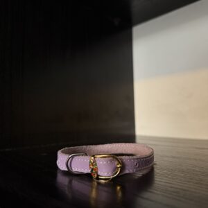 Natūralios odos antkaklis su elegantiška sagtimi