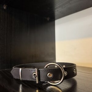 Natūralios odos antkaklis su žiedu ir akutėmis 20-48cm