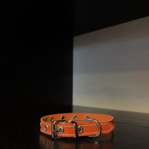 Oranžinis natūralios odos antkaklis su akutėmis 15-37cm