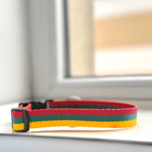 Lietuvaičio antkaklis 30-47cm