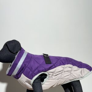 Violetinė su pilka striukė